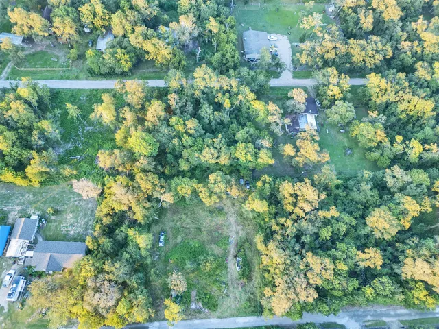 $90,000 | Tbd Lost Forest Drive, Guy, TX 77444