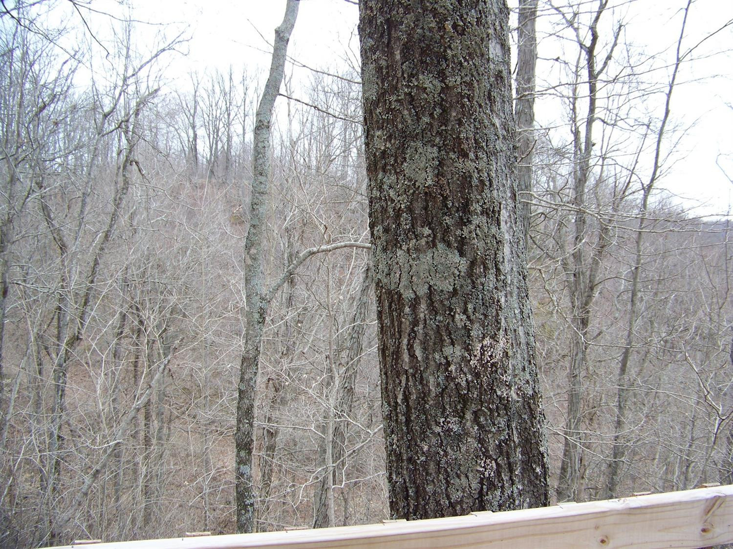 740 Horse Ridge Road Stanford, KY 40484 - Photo 19 of 22 Listing Photo