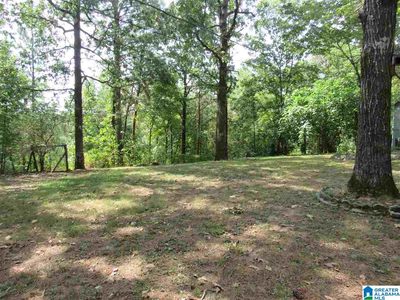 175 County Road 772 Montevallo, AL 35115 - Photo 17 of 50