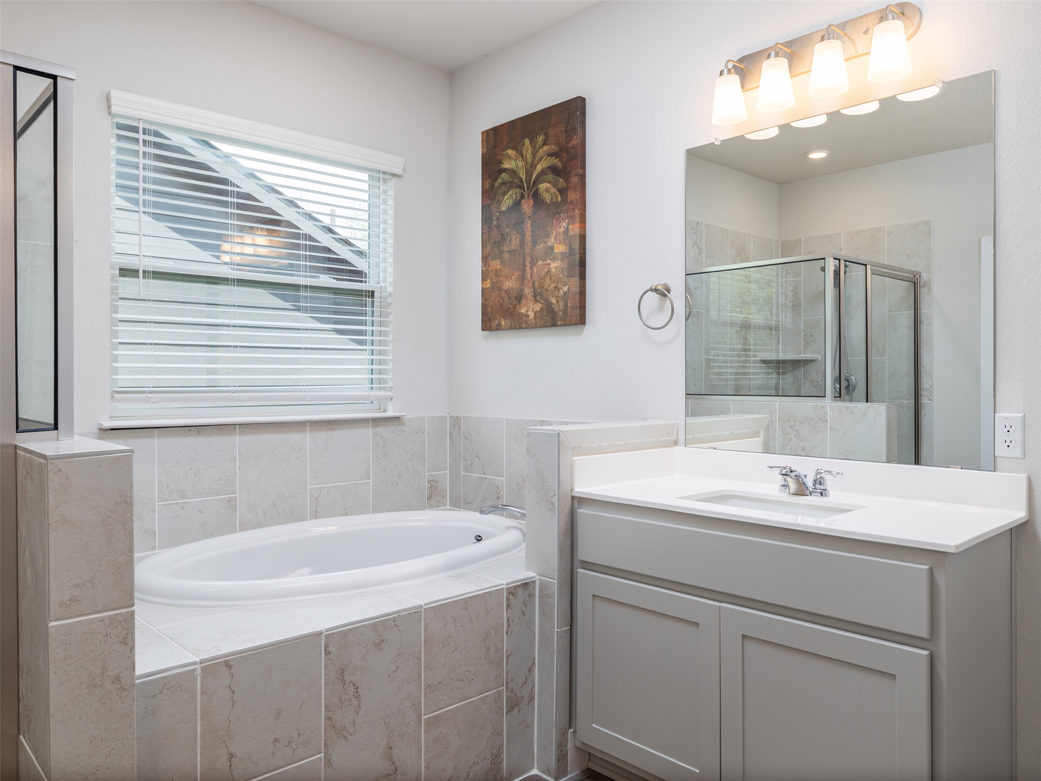 245 Brooks Ranchi Drive Kyle, TX 78640 - Photo 9 of 16 Additional view of Primary Bathroom with bathtub and second vanity