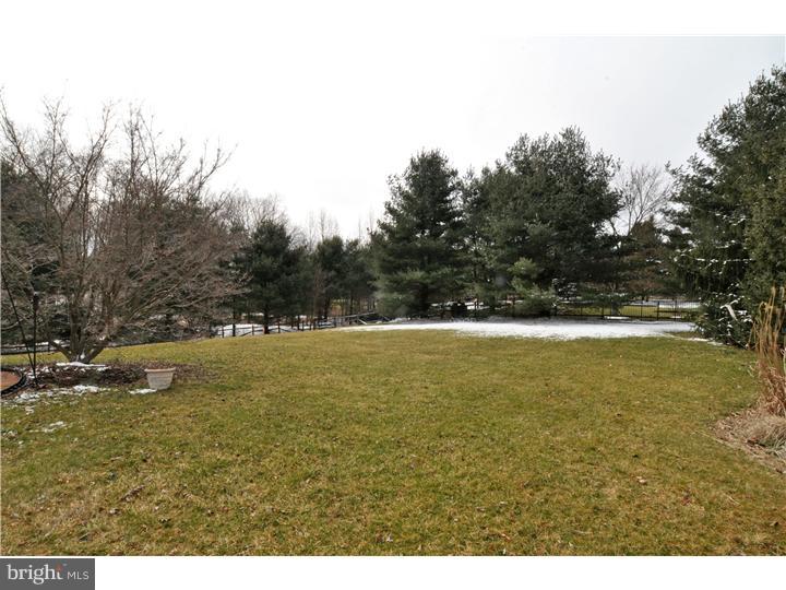 3730 Concord Road Doylestown, PA 18902 - Photo 25 of 25 Back Yard