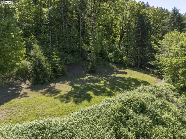 a view of a tree with a yard