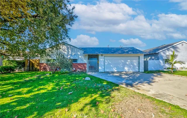 a view of a yard with a large tree