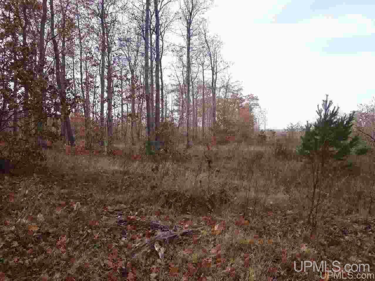 Tbd Tbd Off Us41 Mohawk, MI 49950 - Photo 17 of 22