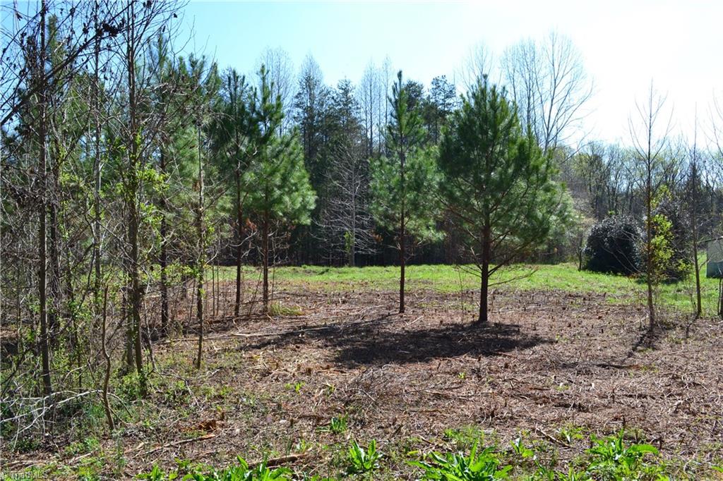 0 Turner Road, Unit LOT 16 Mebane, NC 27302 - Photo 3 of 3 Gallery Image 3
