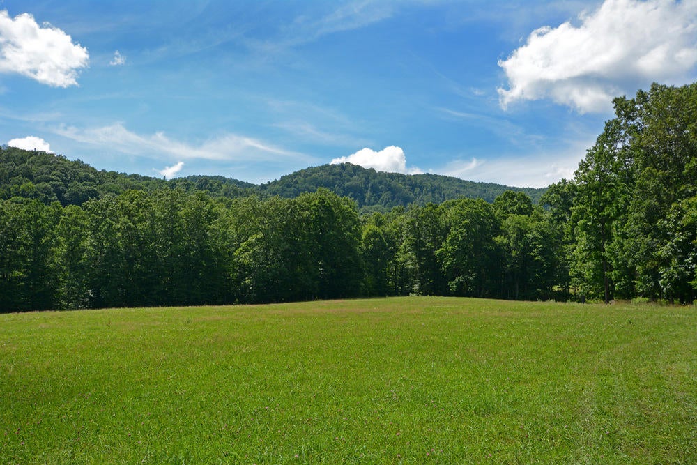 5225 Cornstalk Road Crawley, WV 24931 - Photo 19 of 44 Gallery Image 19