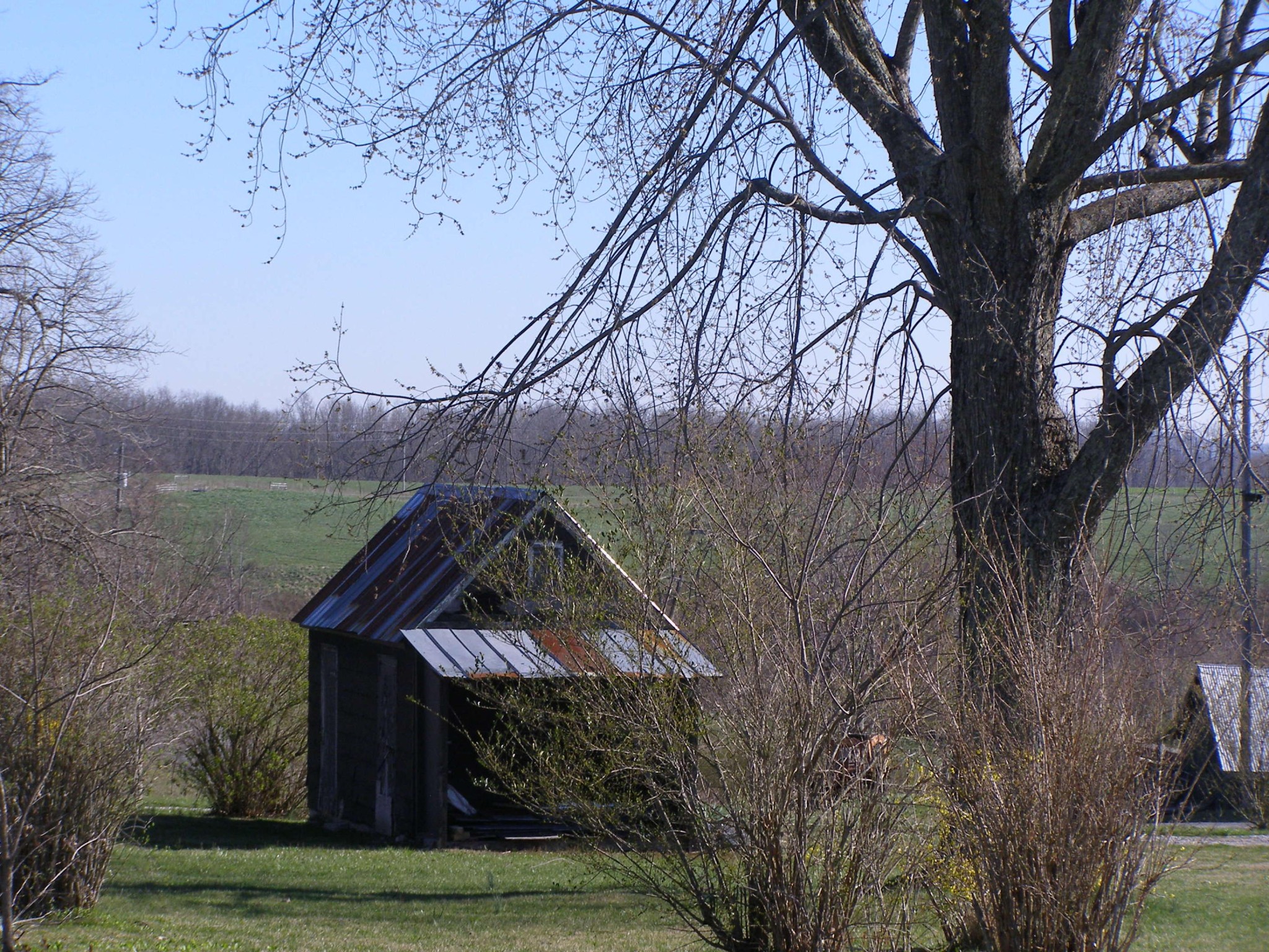 2781 Pigeon Ridge Road Crossville, TN 38555 - Photo 15 of 39 Gallery Image 15