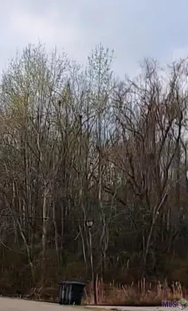 $19,000 | Lot 91 Rosario Drive, Baton Rouge, LA 70811