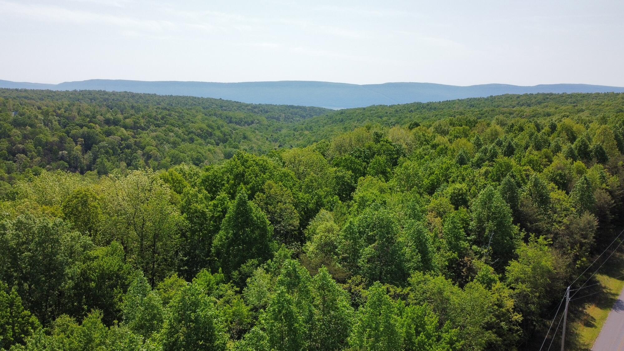 20 Hobbstown Road Dunlap, TN 37327 - Photo 1 of 19 1
