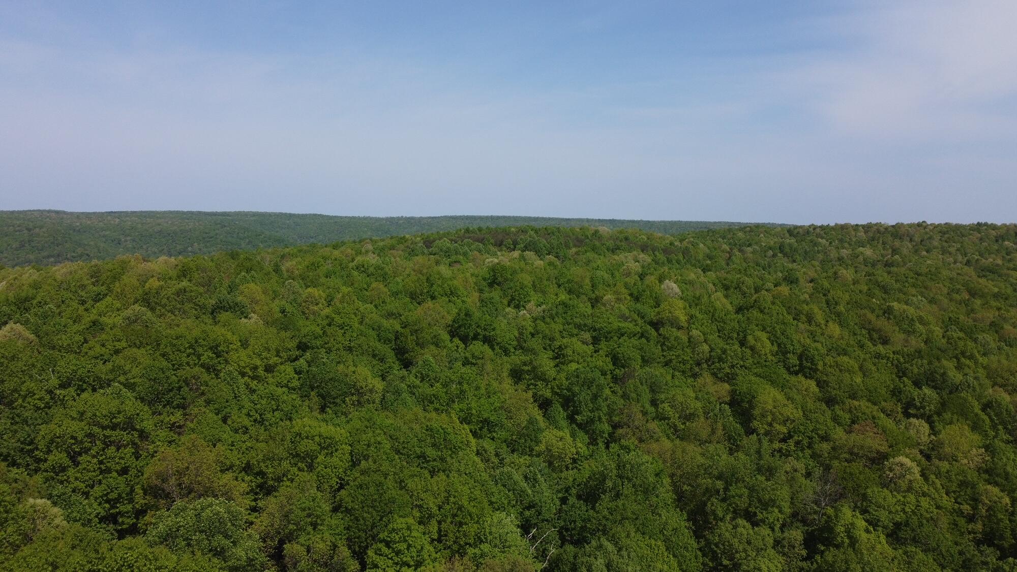 20 Hobbstown Road Dunlap, TN 37327 - Photo 11 of 19 Photo_6553832_DJI_232_jpg_4201579_0_2022