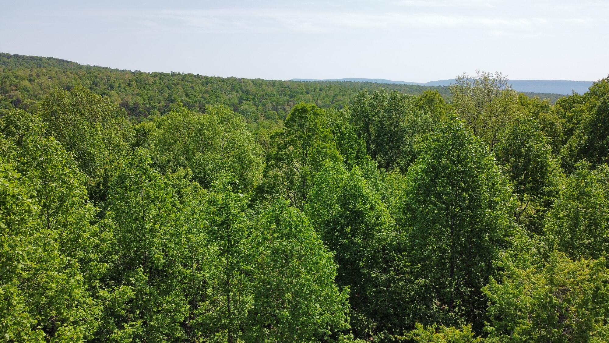 20 Hobbstown Road Dunlap, TN 37327 - Photo 12 of 19 RemoteMediaFile_6553826_0_2022_05_05_11_