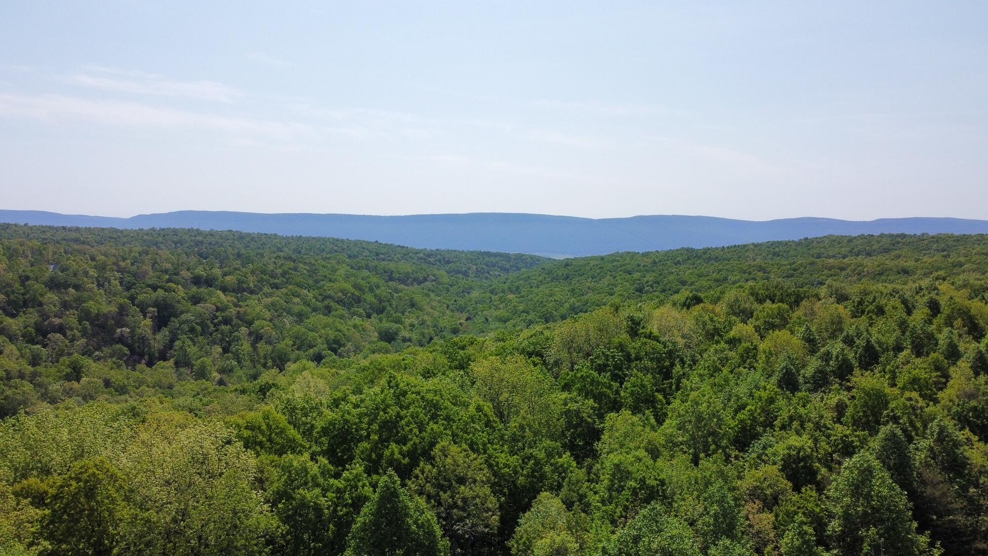 20 Hobbstown Road Dunlap, TN 37327 - Photo 14 of 19 RemoteMediaFile_6553829_0_2022_05_05_11_