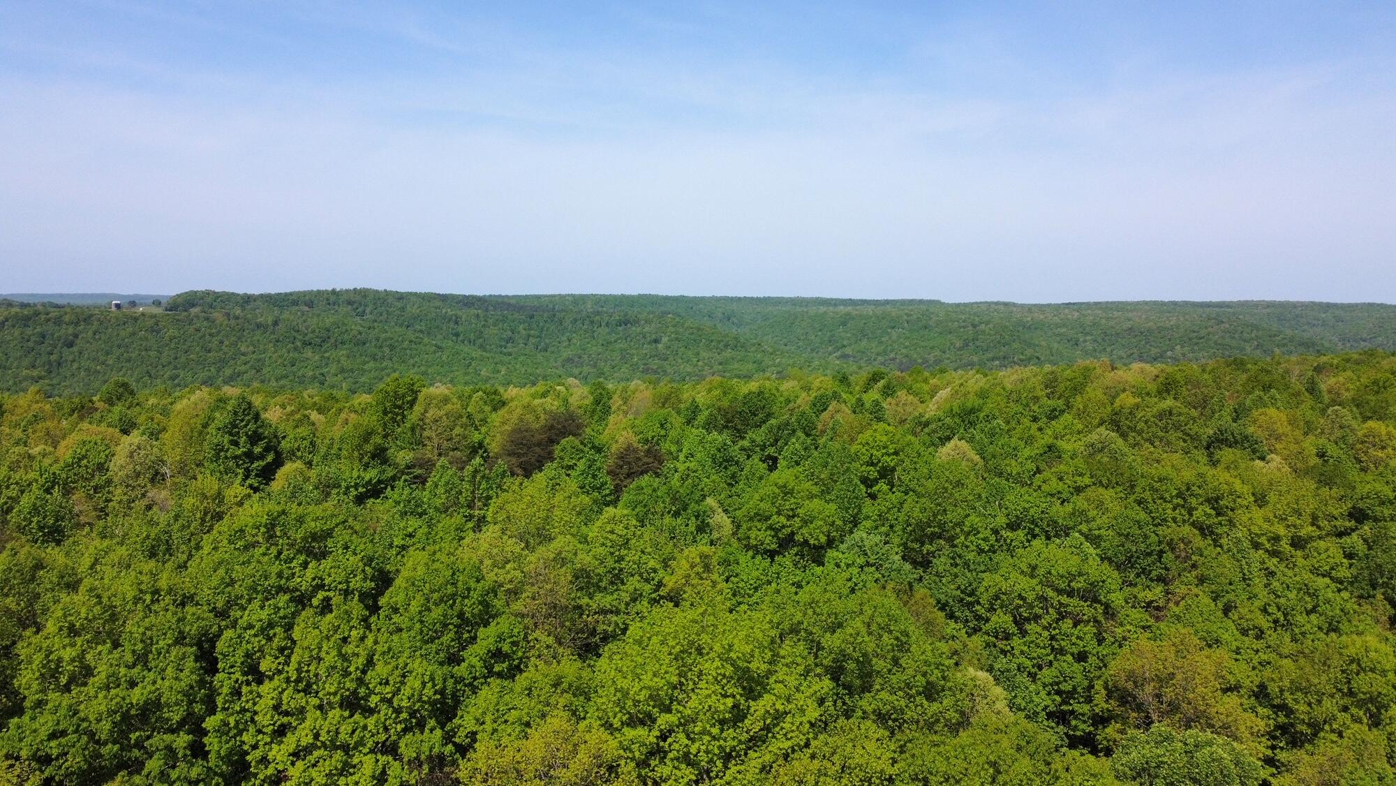20 Hobbstown Road Dunlap, TN 37327 - Photo 16 of 19 RemoteMediaFile_6553831_0_2022_05_05_11_