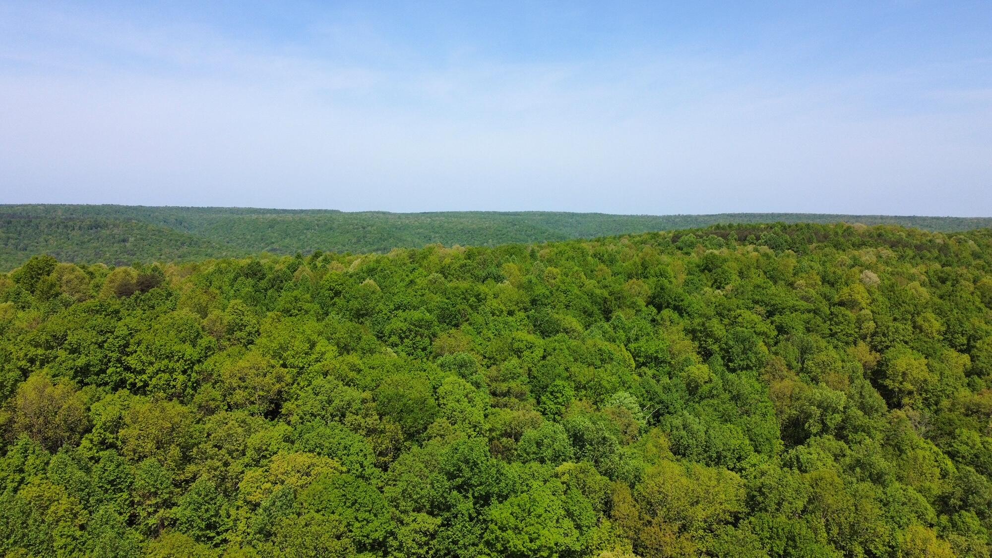 20 Hobbstown Road Dunlap, TN 37327 - Photo 18 of 19 RemoteMediaFile_6553834_0_2022_05_05_11_
