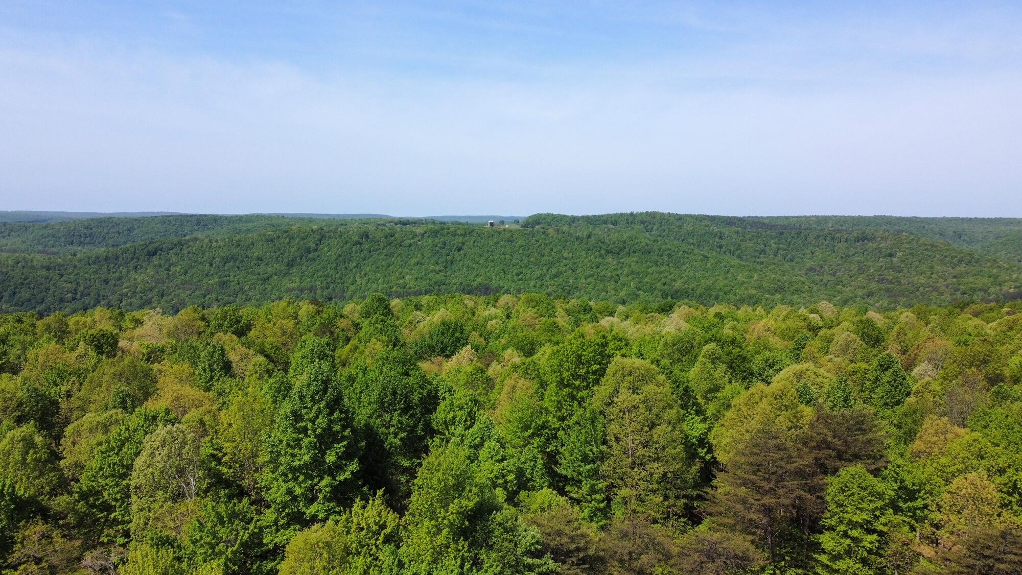 20 Hobbstown Road Dunlap, TN 37327 - Photo 19 of 19 RemoteMediaFile_6553835_0_2022_05_05_11_