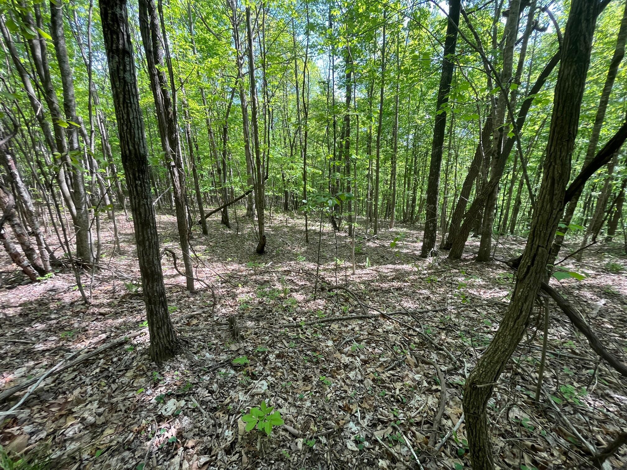 20 Hobbstown Road Dunlap, TN 37327 - Photo 5 of 19 IMG_1077