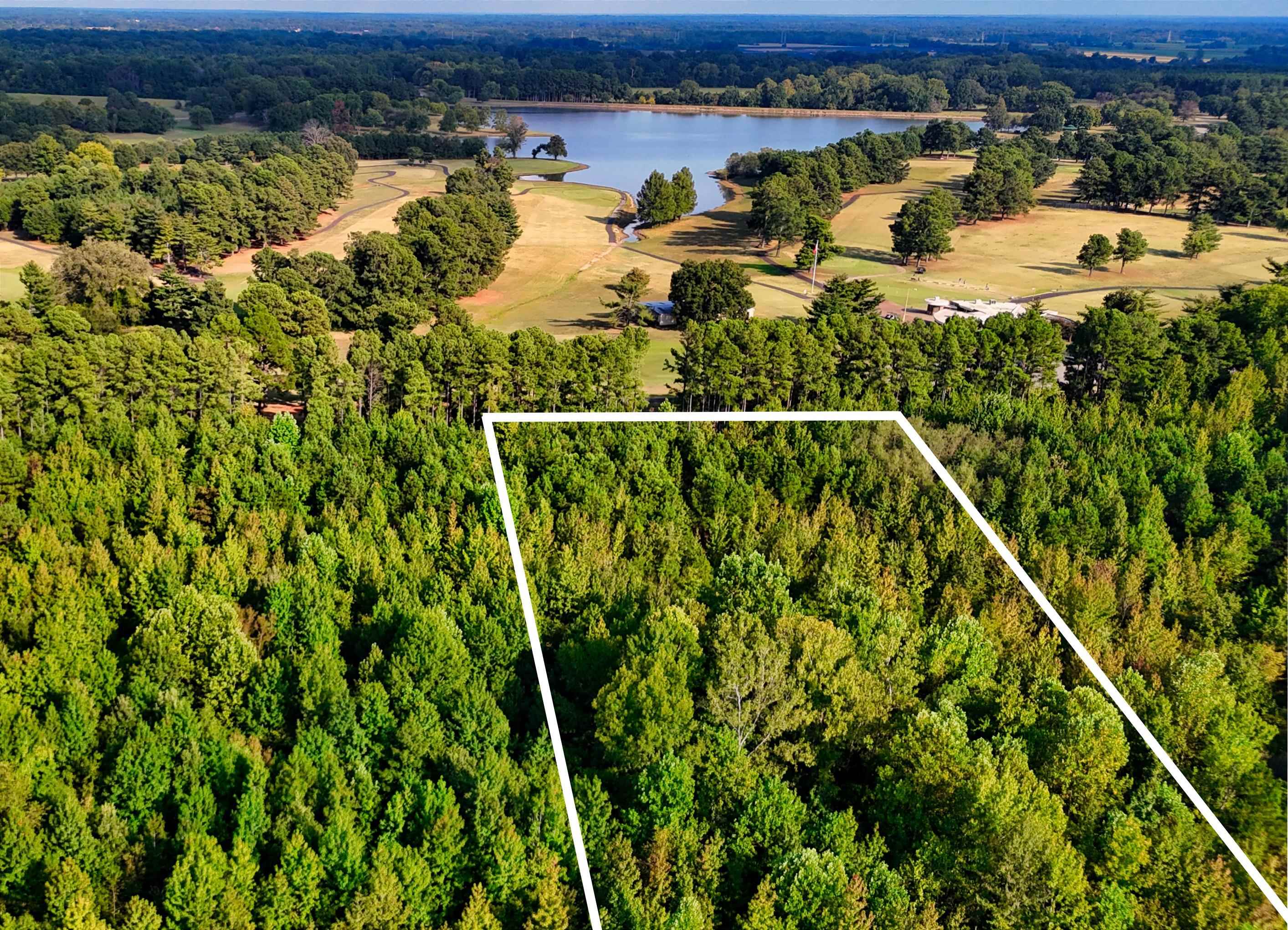 0 Bethuel Road, Unit 13 Millington, TN 38053 - Photo 2 of 15