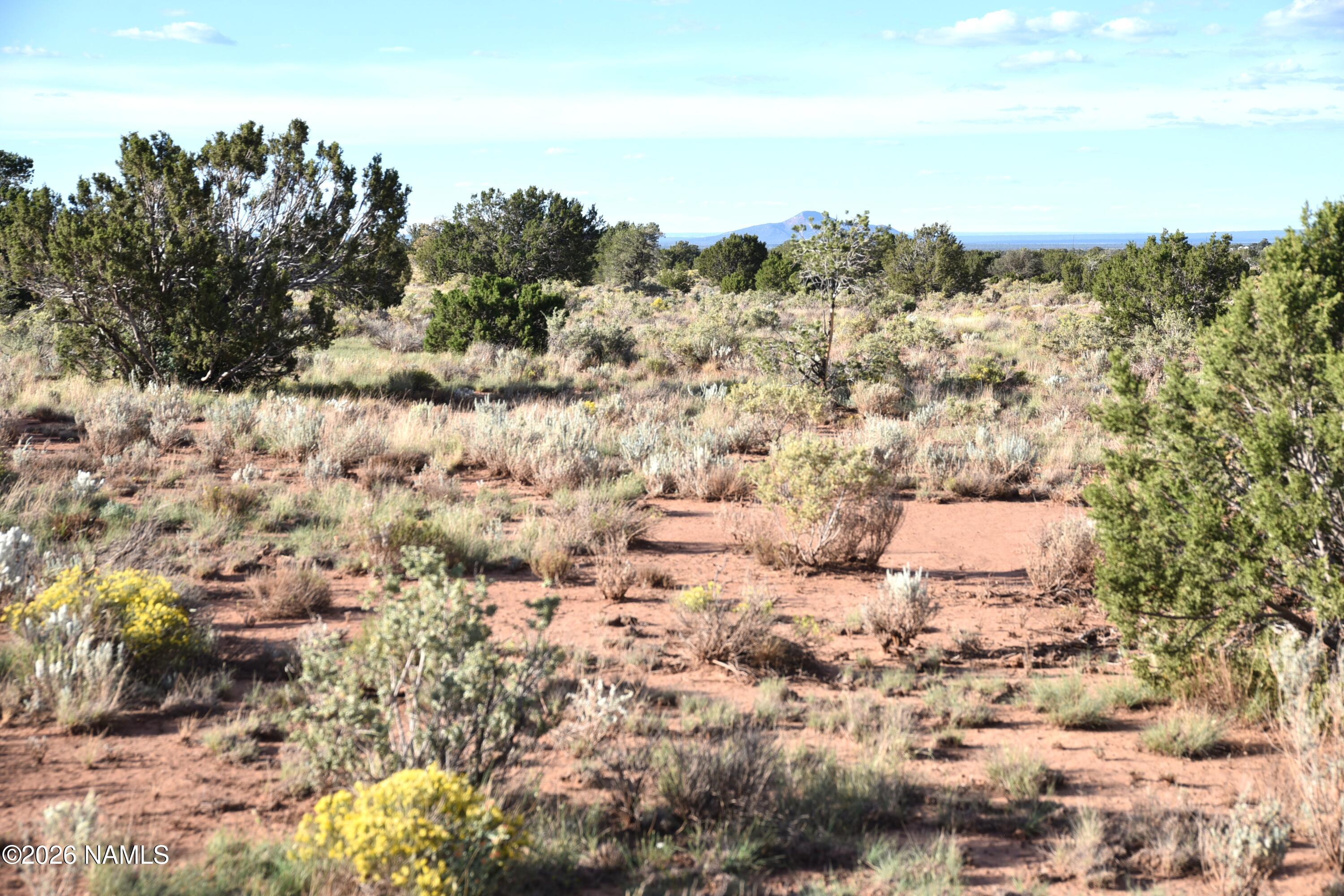 0 North Santa Clara Road Williams, AZ 86046 - Photo 8 of 11 DSC_5541