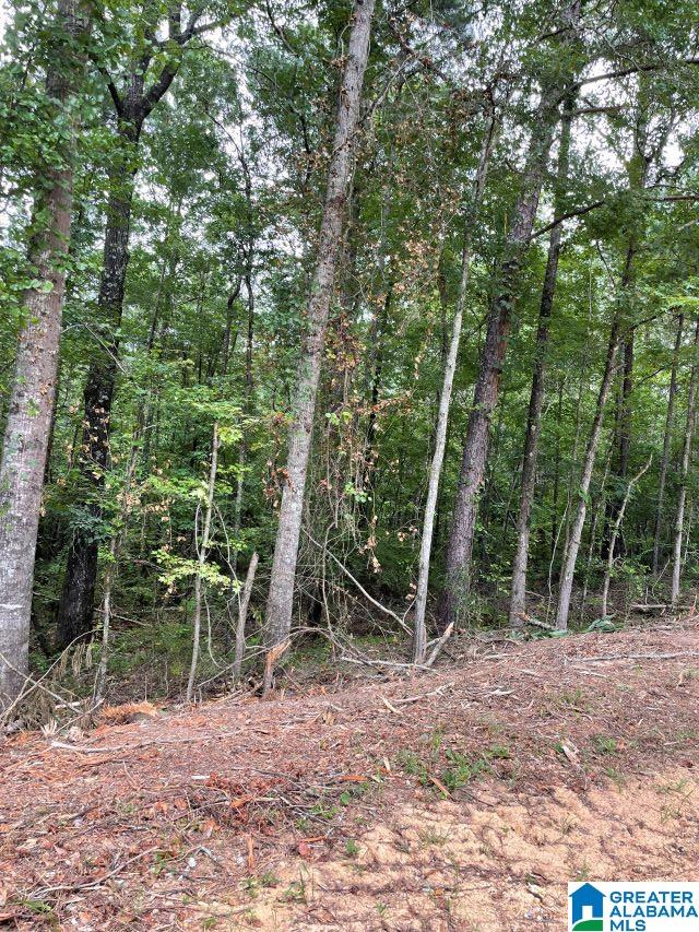 536 County Road, Unit 1 Marbury, AL 36051 - Photo 10 of 12