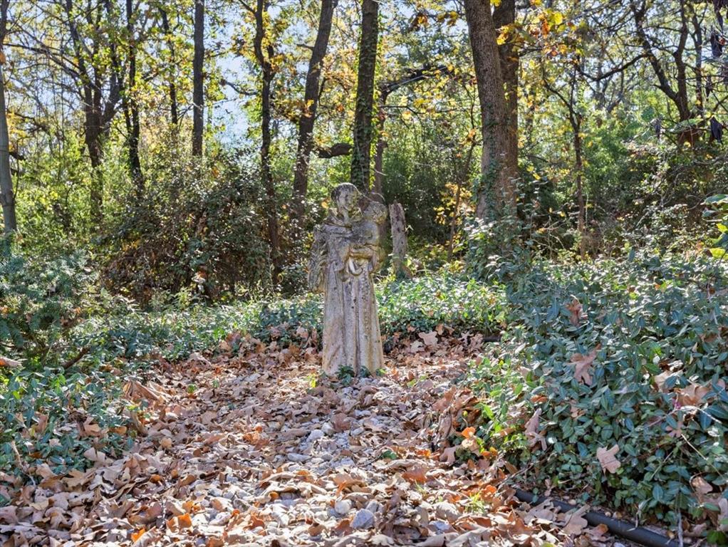 13030 Miller Road Azle, TX 76020 - Photo 11 of 40 a view of a forest with large trees