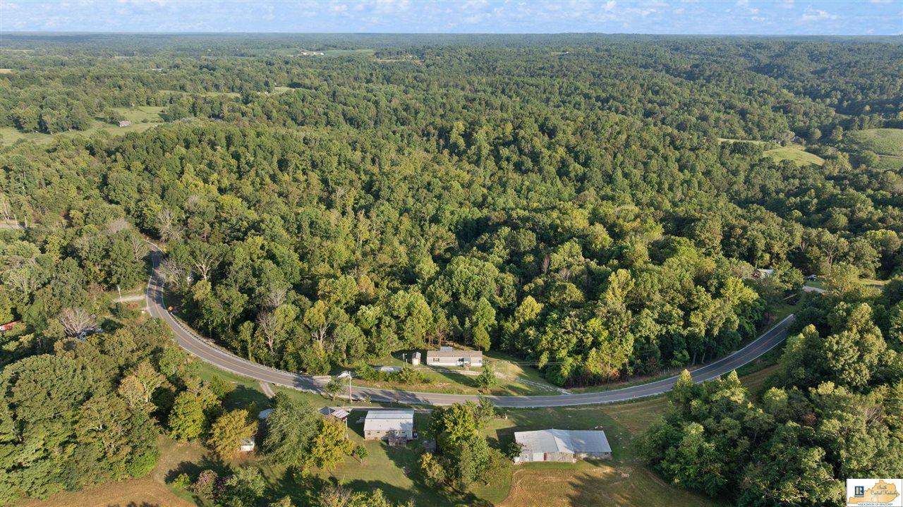 9625 Breeding Road Edmonton, KY 42129 - Photo 43 of 55 Gallery Image 43