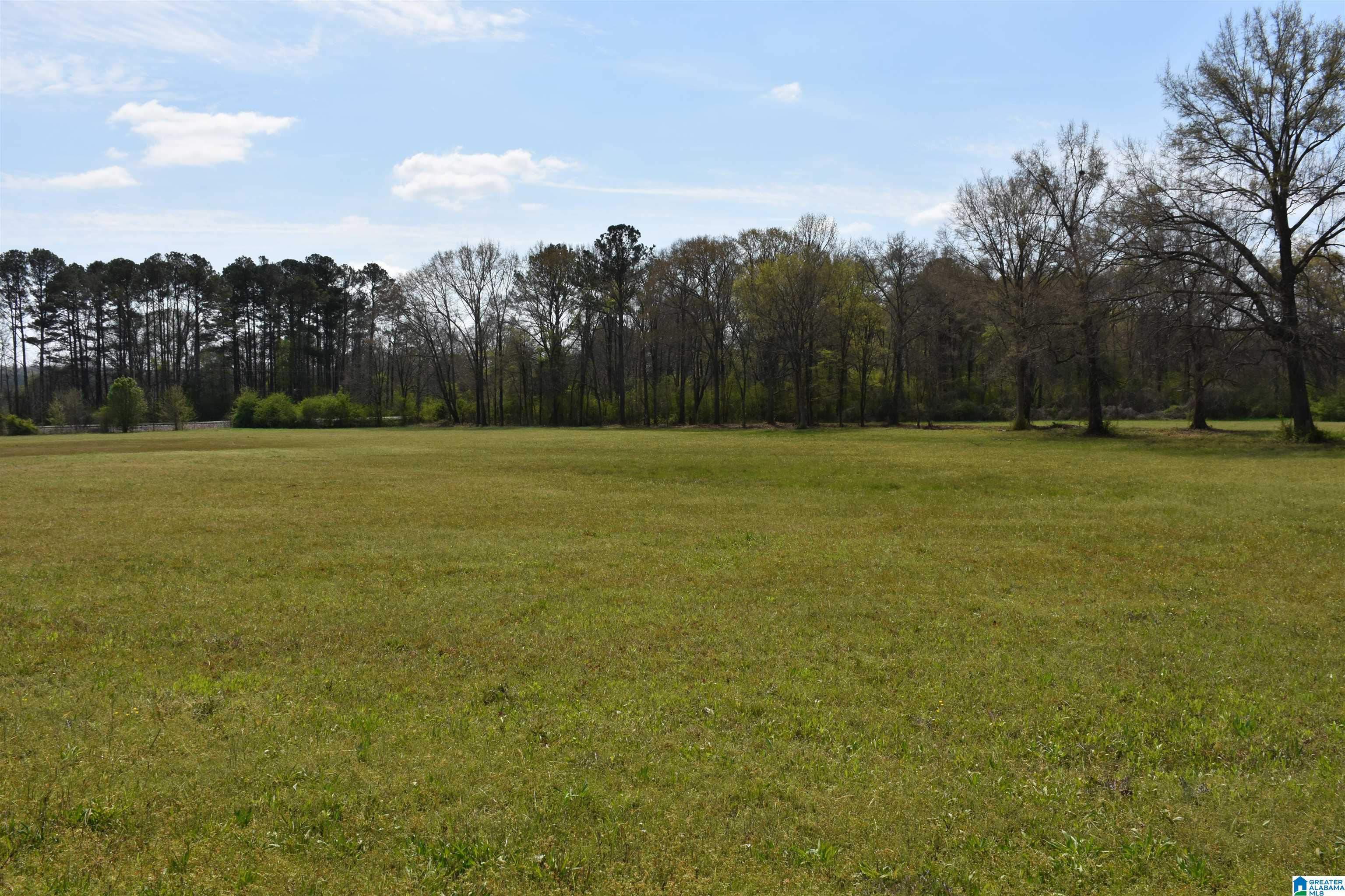 2323 Motes Road Sylacauga, AL 35150 - Photo 1 of 6