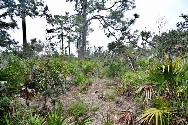 a plant that is in a garden