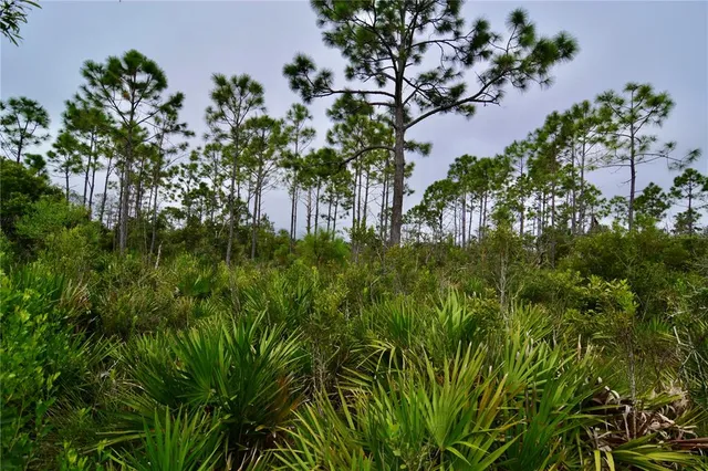 a plant that is in a garden