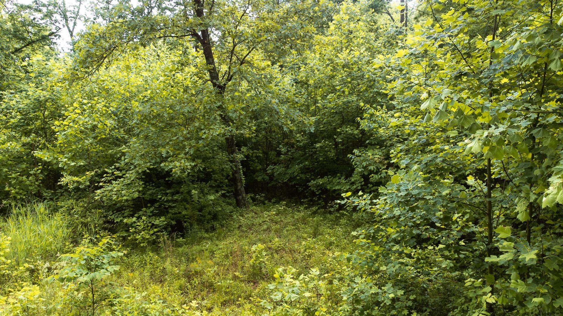 Tbd Kings Ridge Road Mitchell, IN 47446 - Photo 7 of 9