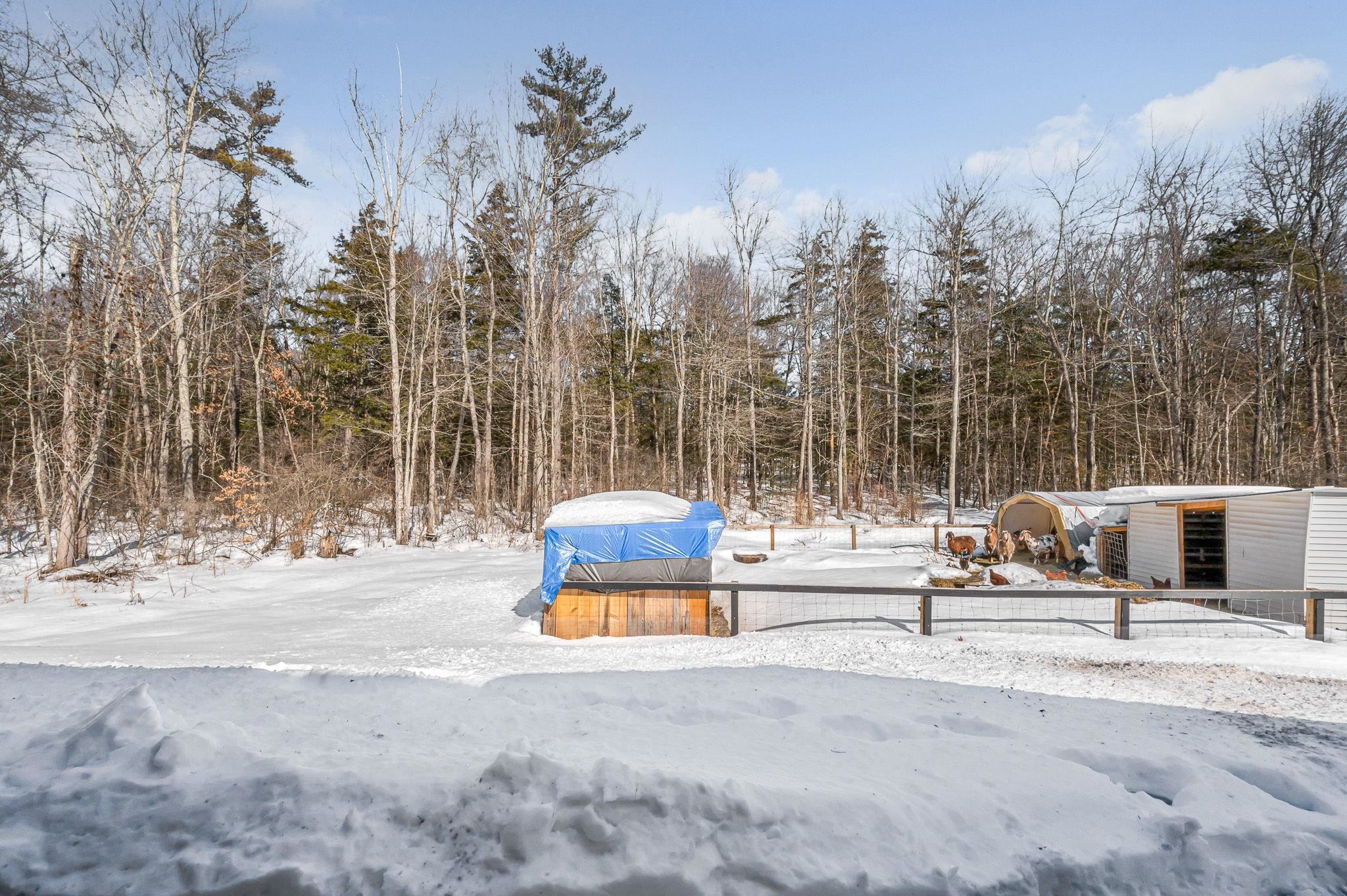 74 Royal Range Road Sandown, NH 03873 - Photo 32 of 33