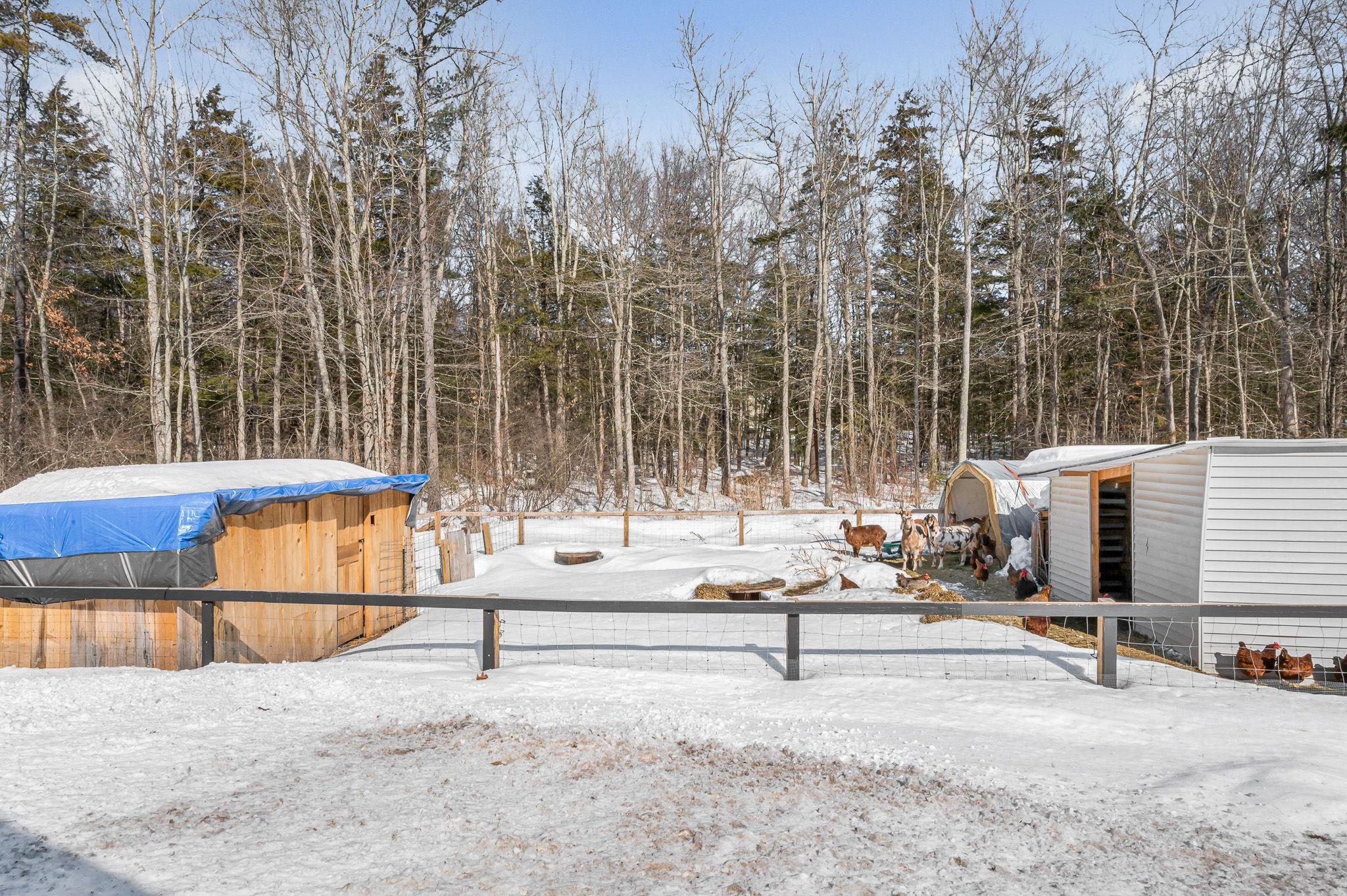 74 Royal Range Road Sandown, NH 03873 - Photo 33 of 33