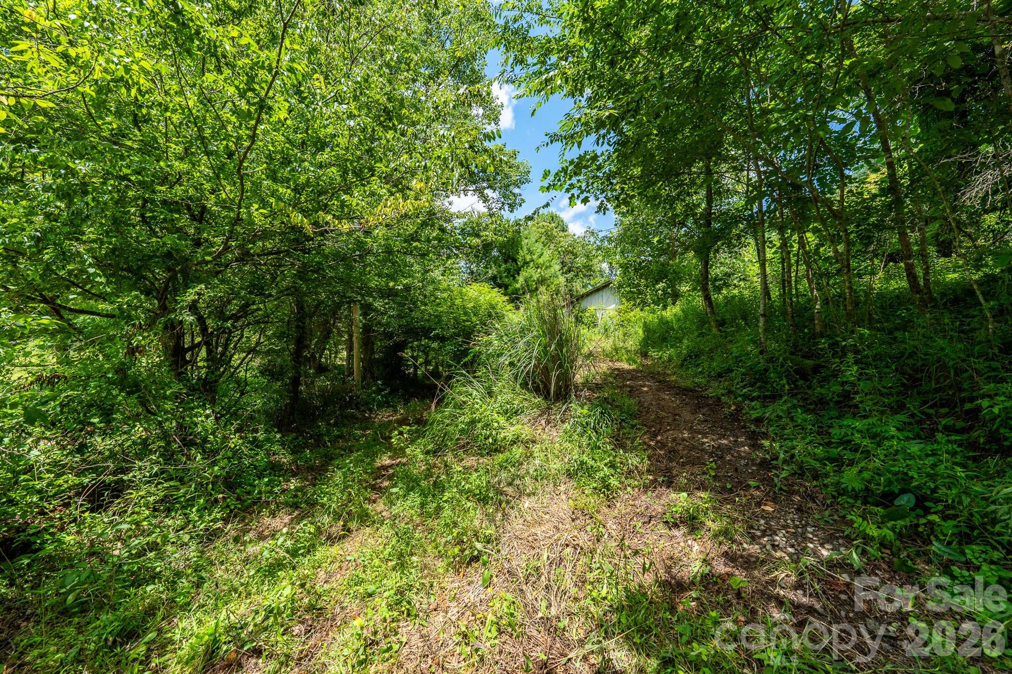 789 Jarrett Cove Road Marshall, NC 28753 - Photo 15 of 41