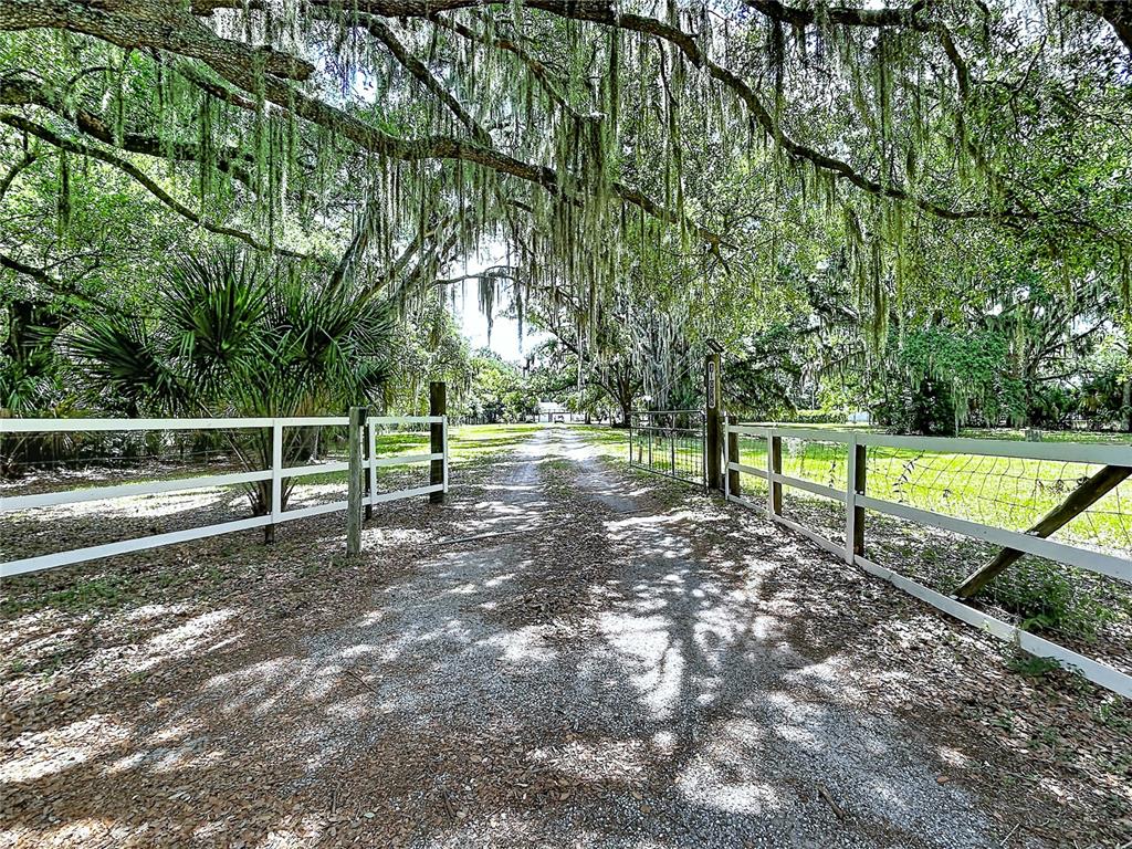11008 Browning Road Lithia, FL 33547 - Photo 8 of 88