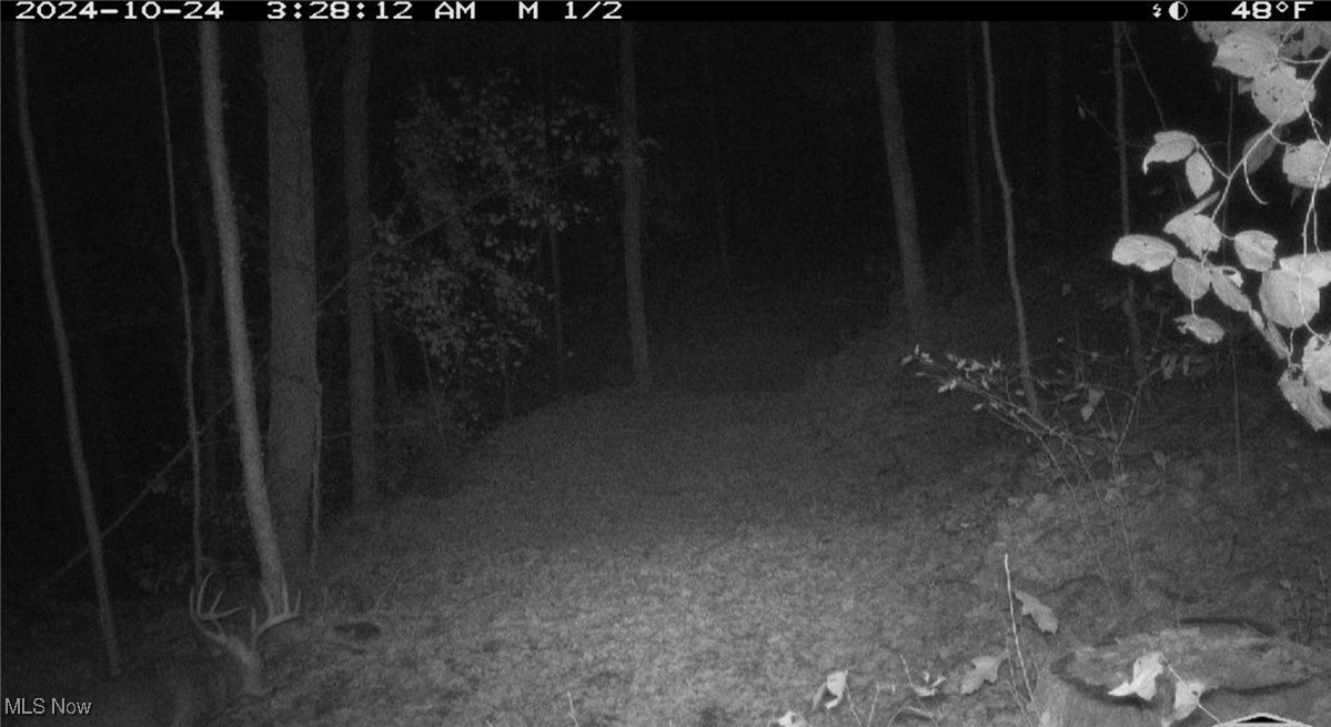 Hoot Owl Ridge Road Caldwell, OH 43724 - Photo 16 of 40 Gallery Image 16