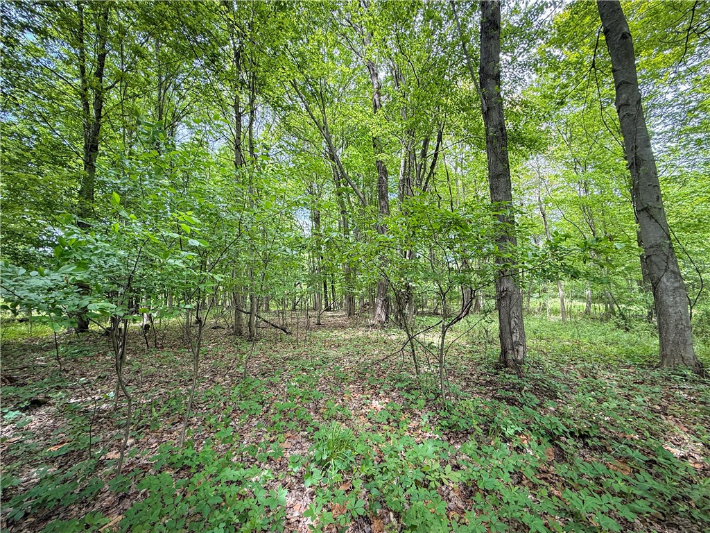 Gifford Road Hannibal, NY 13074 - Photo 18 of 50