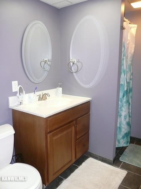 6570 West Cook Road Lena, IL 61048 - Photo 40 of 58 a bathroom with a sink mirror vanity and toilet