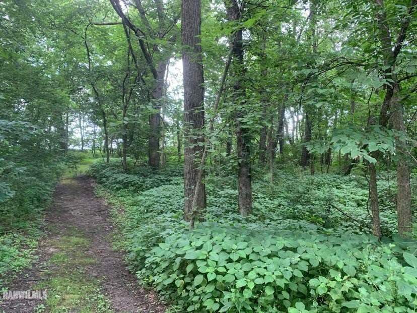 6570 West Cook Road Lena, IL 61048 - Photo 52 of 58 a view of a lush green forest