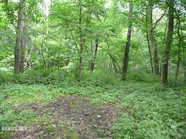 6570 West Cook Road Lena, IL 61048 - Photo 53 of 58 a view of a lush green forest