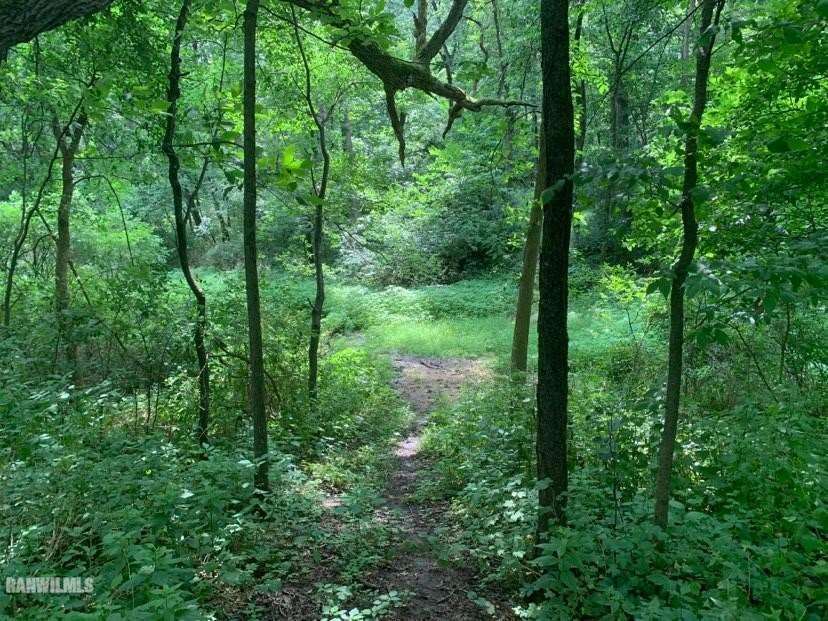 6570 West Cook Road Lena, IL 61048 - Photo 54 of 58 a view of a lush green forest