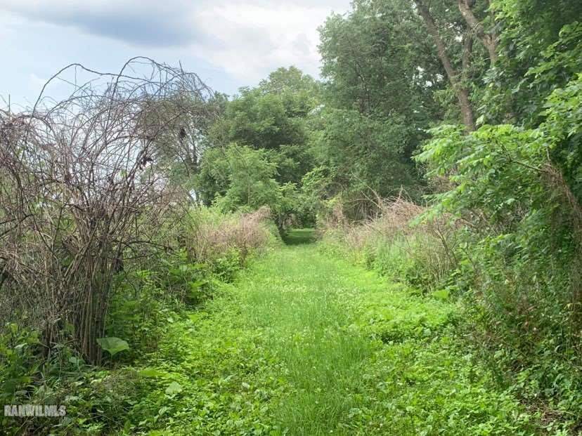 6570 West Cook Road Lena, IL 61048 - Photo 55 of 58 a view of a green field