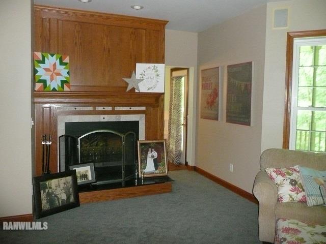 6570 West Cook Road Lena, IL 61048 - Photo 6 of 58 a living room with furniture and a fireplace