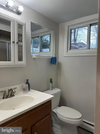 a bathroom with a sink and a toilet