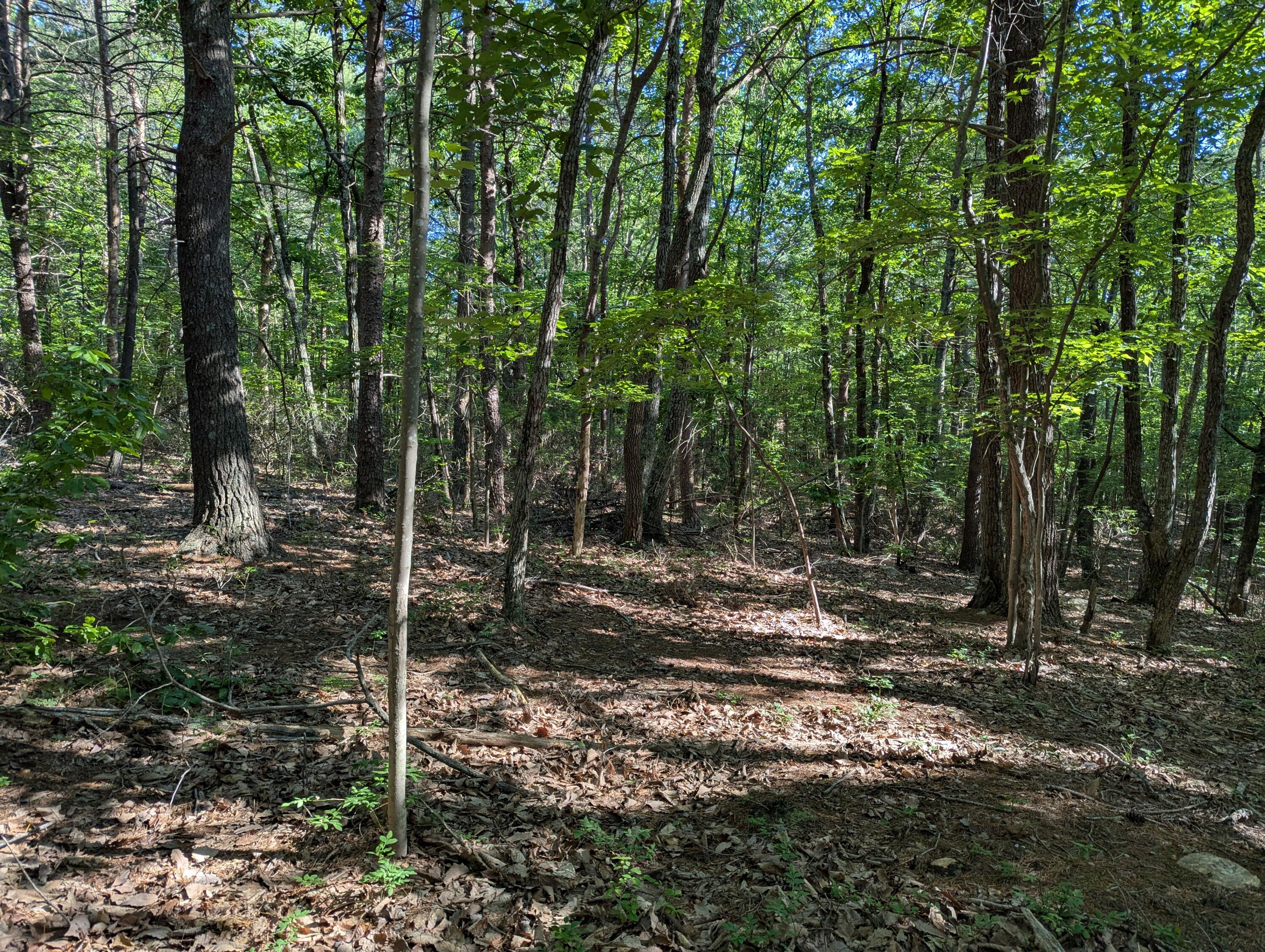 0 Old Forge Road Rocky Mount, VA 24151 - Photo 5 of 13 0 Old Forge Rd