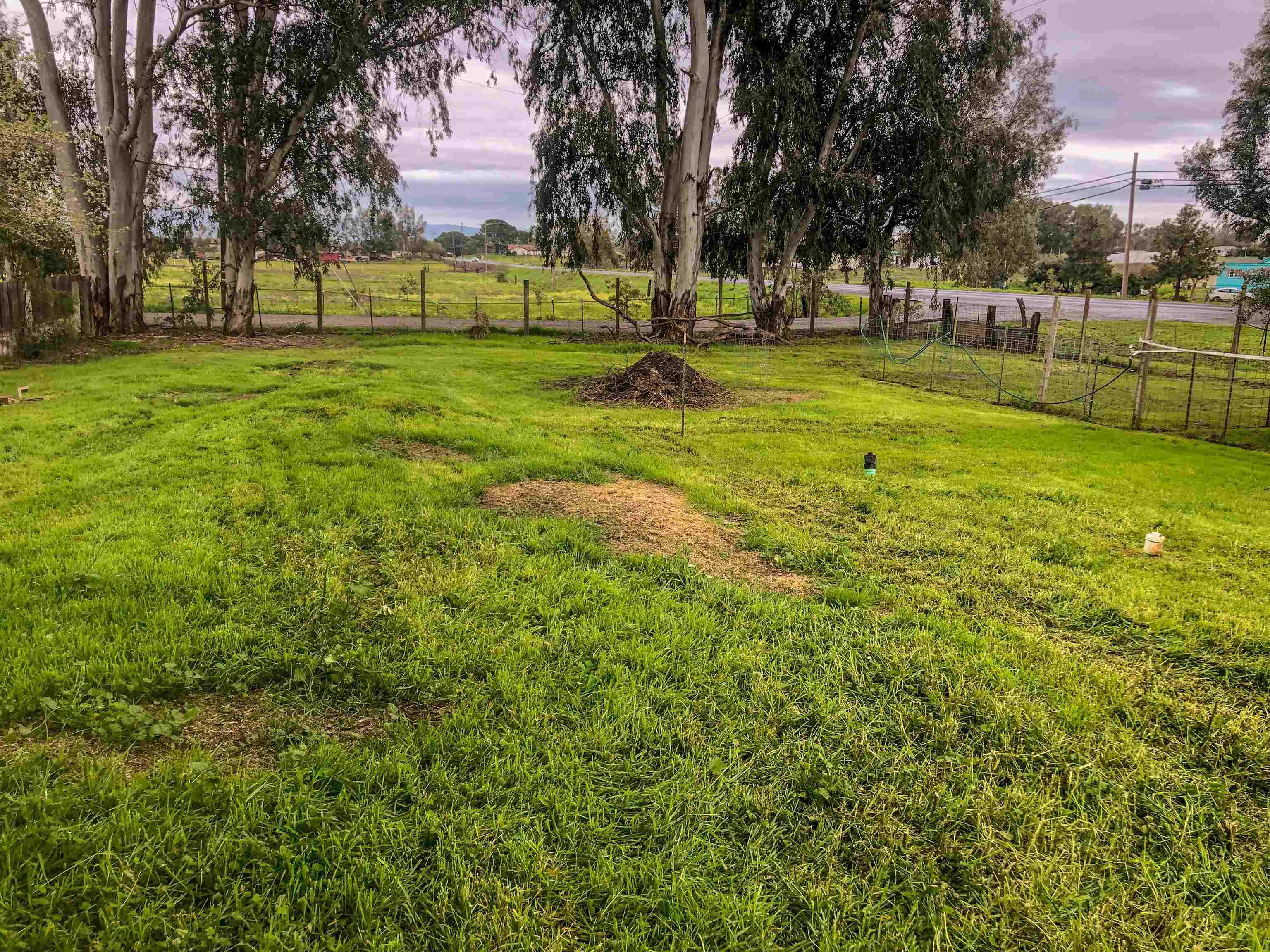 23848 Hoag Road Corning, CA 96021 - Photo 63 of 73