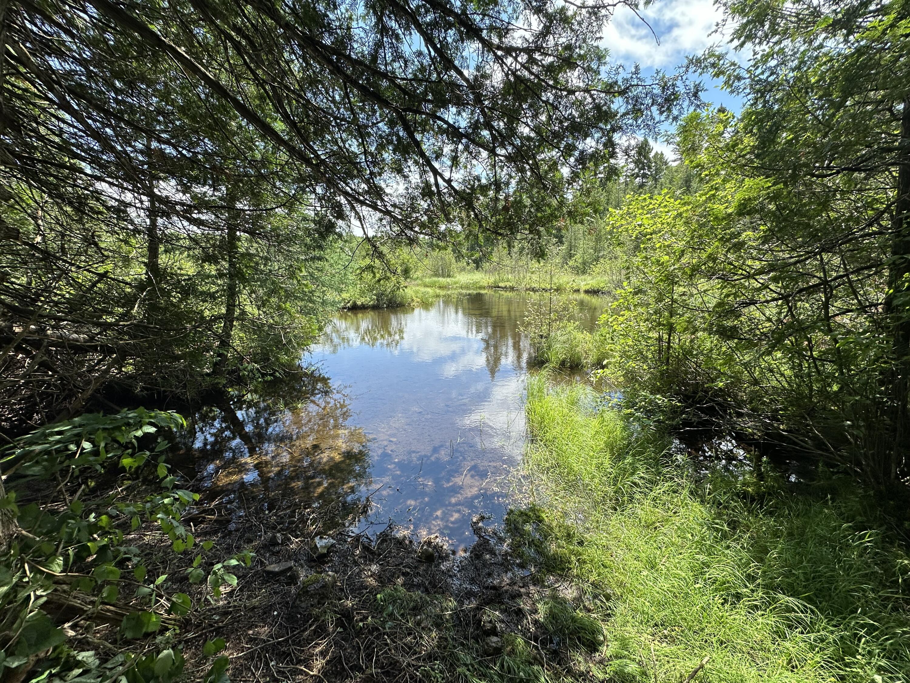 223 Montieth Road Bridgewater, ME 04735 - Photo 46 of 51 IMG_0347