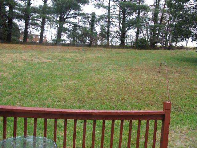 8005 Olsen Road Roanoke, VA 24019 - Photo 24 of 24 IMG_2554