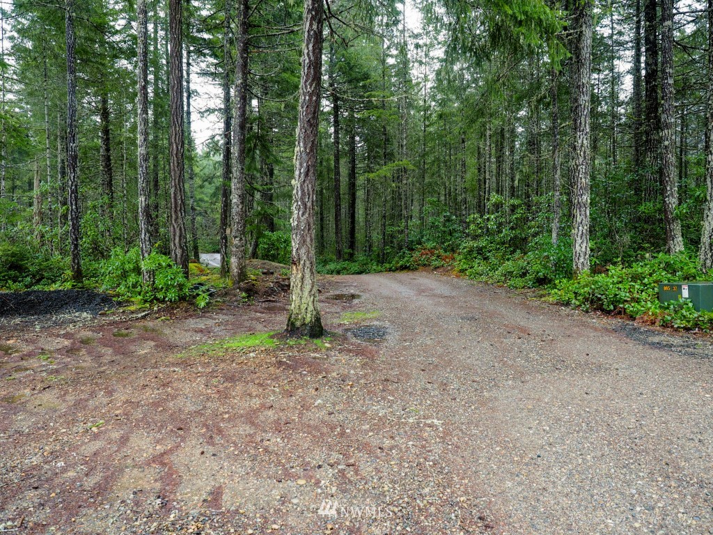 301 Northeast Pine Camp Road Belfair, WA 98528 - Photo 22 of 23 Gallery Image 22