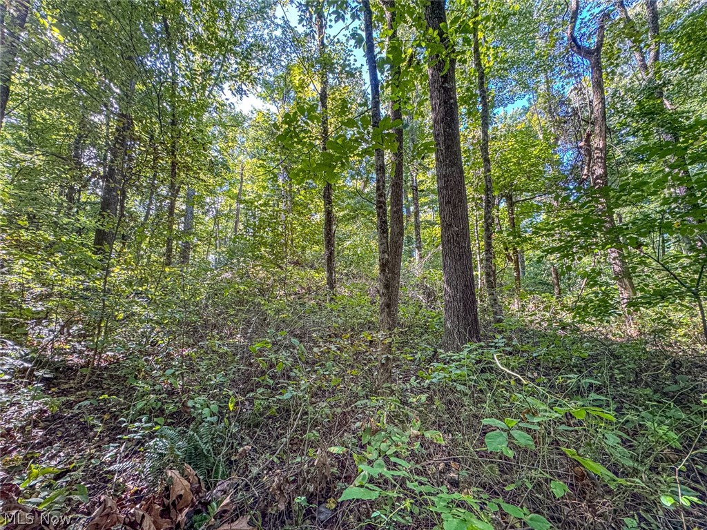 0 Southeast Kleski Road Tippecanoe, OH 44699 - Photo 28 of 33 Gallery Image 28