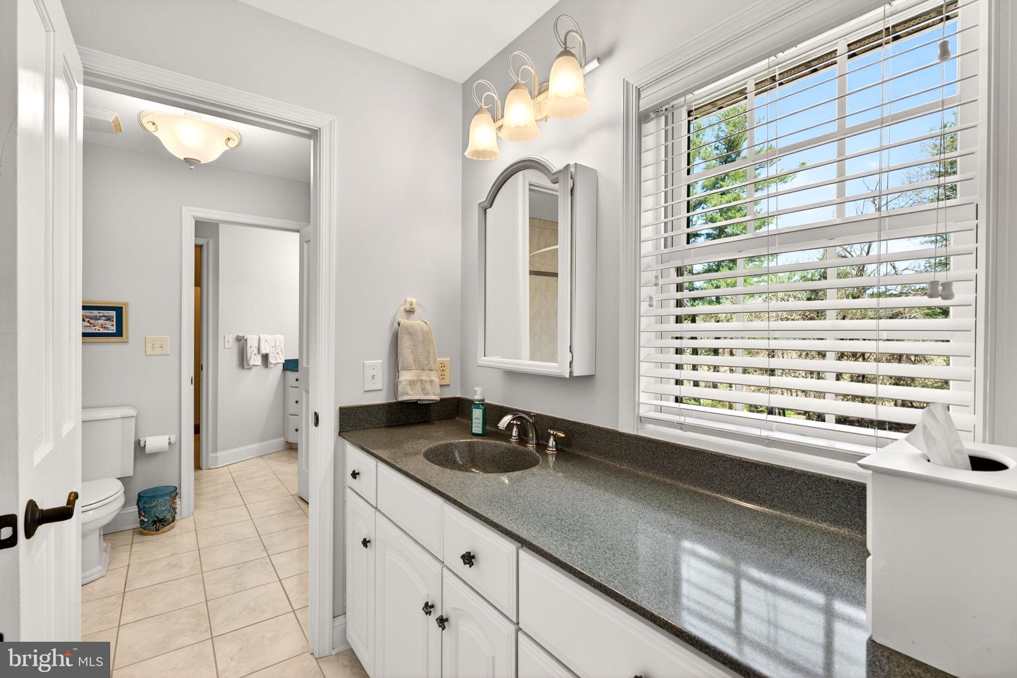 3814 Rocks Station Road Street, MD 21154 - Photo 48 of 70 a bathroom with a granite countertop sink and a mirror