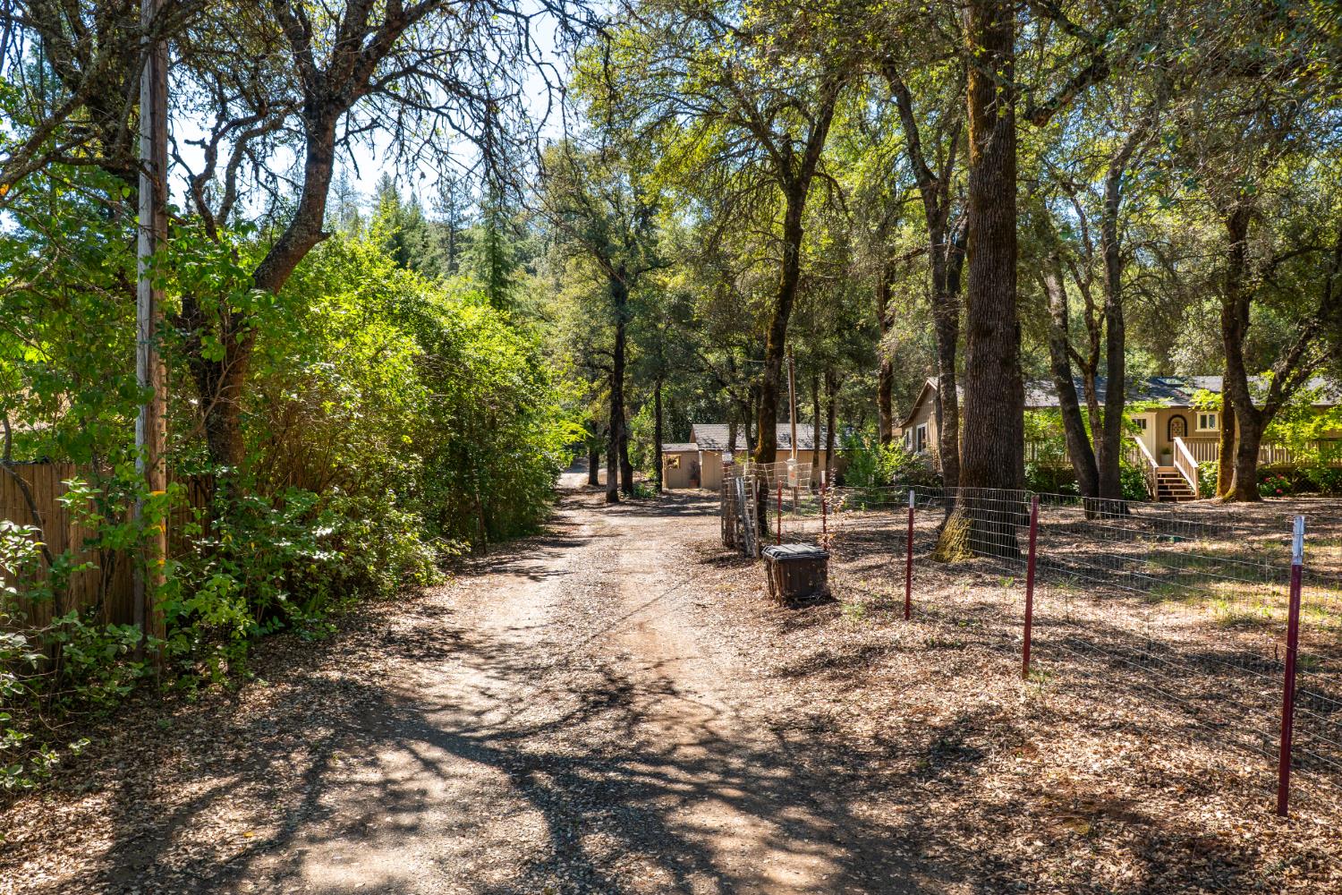 10875 Spenceville Road Penn Valley, CA 95946 - Photo 2 of 49 a view of a park with large trees